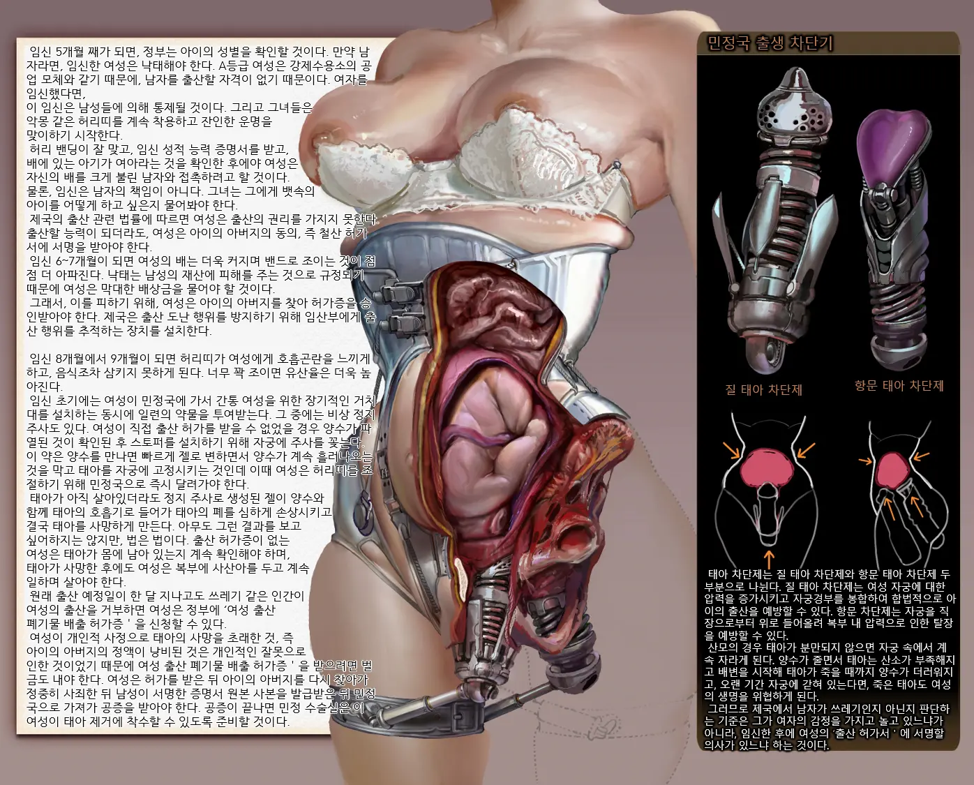 제국 사회편 한글번역